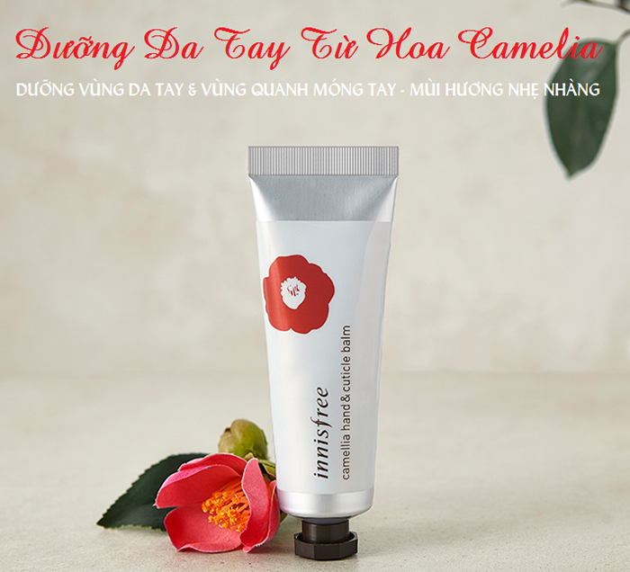 Kem dưỡng trắng da tay Innisfree Camellia 50ml