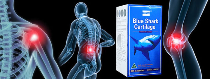 Viên sụn vi cá mập Shark Cartilage của Úc hộp 200 viên 